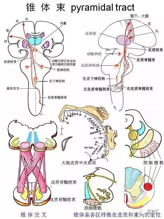 AG真人官方网址